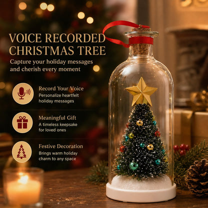 Little Voices Recordable Christmas Memory Bottle Ornament